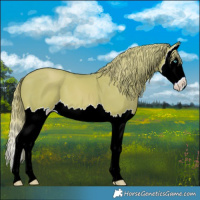 Horse Color:Watercolor Gold Champagne Splash 