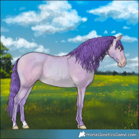 Horse Color:Watercolor Amber Cream Champagne