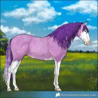 Horse Color:Watercolor Amber Champagne Splash