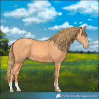 Horse Color:Watercolor Gold Champagne 