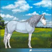 Horse Color:Watercolor Gold Champagne Splash