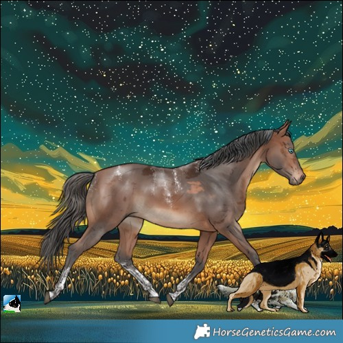 Horse Color:Powder White Bay Merle 