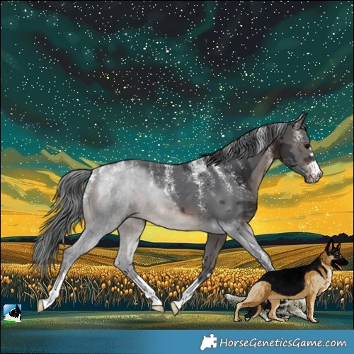 Horse Color:Powder White Brown Merle 