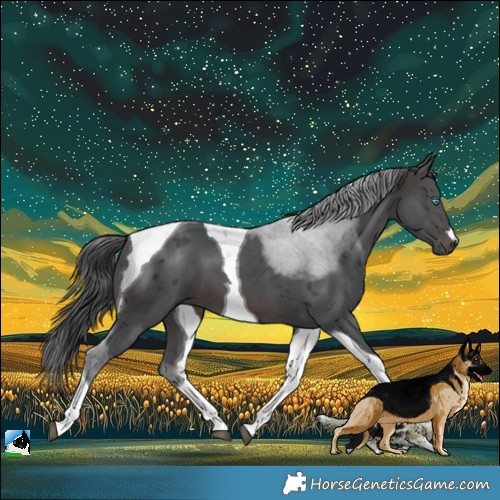 Horse Color:Brown Merle Tobiano 