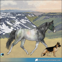 Horse Color:Powder White Brown Tobiano Rabicano