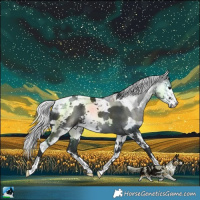 Horse Color:Black Harlequin Merle