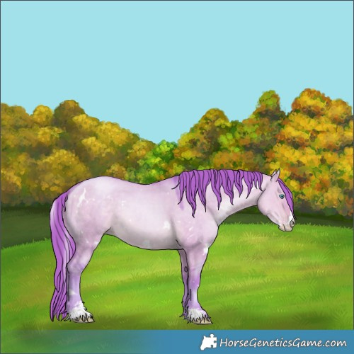 Horse Color:Watercolor White Spotted Buckskin Pearl Dun Sabino 