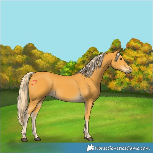 Horse Color:Palomino