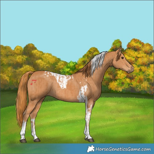 Horse Color:Chestnut Tobiano Rabicano and Chestnut Tobiano Rabicano
