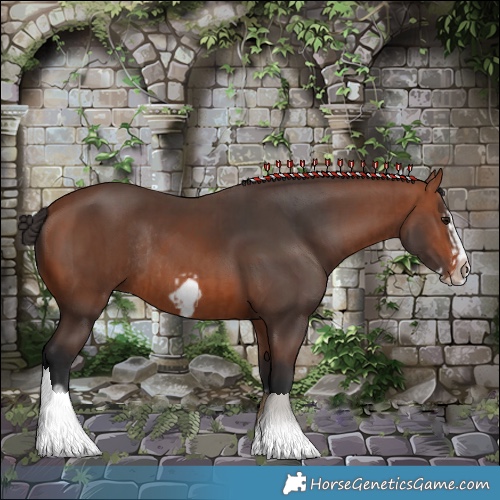 Horse Color:Bay Splash Frame Rabicano  and Bay Splash Frame Rabicano 