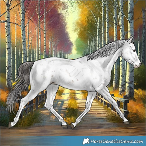 Horse Color:Bay Sabino 