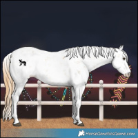 Horse Color:Chestnut Sabino  and Chestnut Sabino 