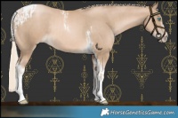 Horse Color:Chocolate Palomino Pearl Tobiano Frame  and Chocolate Palomino Pearl Tobiano Frame Rabicano 