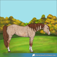 Horse Color:Red Dun and Red Dun
