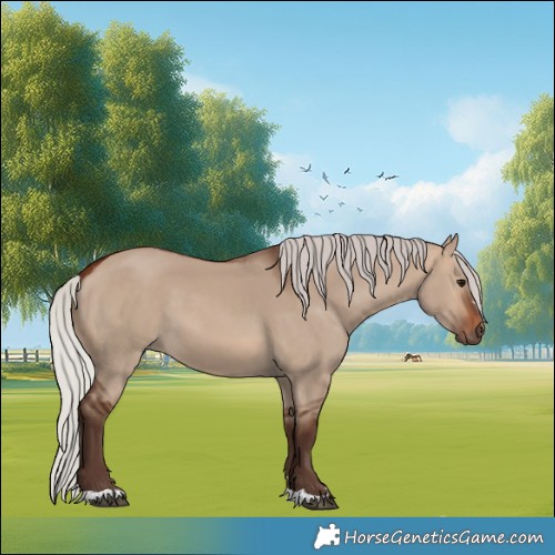 Horse Color:Silver Brown Dun