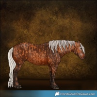 Horse Color:Silver Bay  and Gray Silver Bay 
