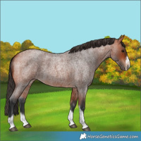 Horse Color:Bay Roan Tobiano Frame