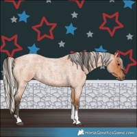 Horse Color:Bay Roan Tobiano  and Silver Bay Roan Tobiano 