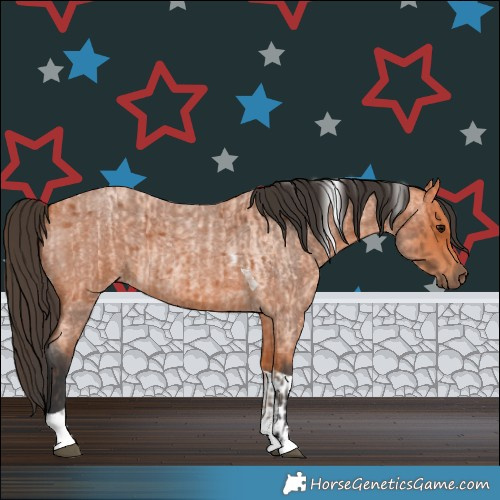 Horse Color:Bay Roan Tobiano  and Bay Roan Tobiano 