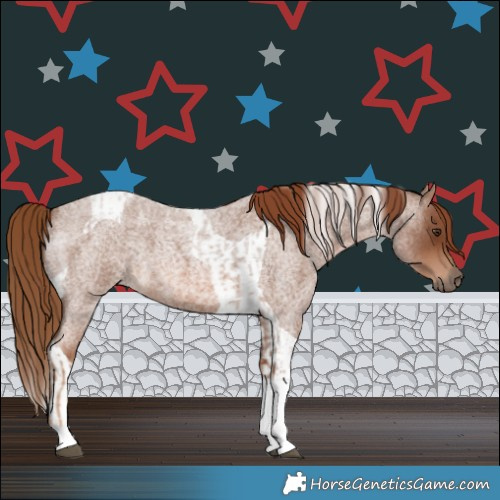 Horse Color:Red Roan Tobiano  and Red Roan Tobiano 