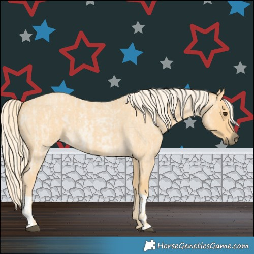 Horse Color:Palomino Roan  and Palomino Roan 