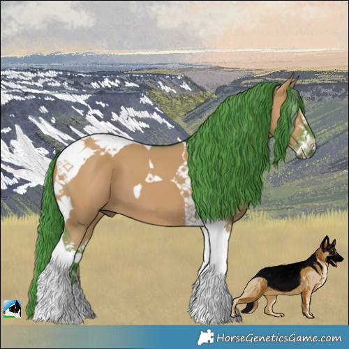 Horse Color:Watercolor Grullo Sabino Tobiano