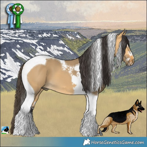 Horse Color:Buckskin Dun Sabino Tobiano