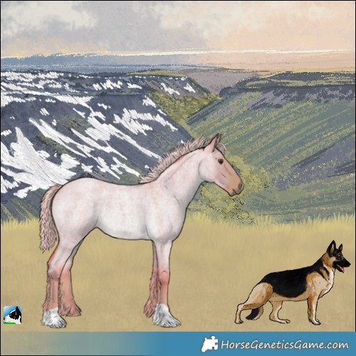 Horse Color:Watercolor Chocolate Palomino Roan Dun 