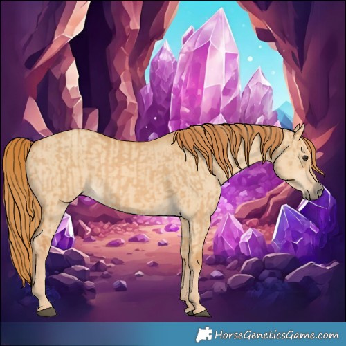Horse Color:Red Dun  and Red Dun 