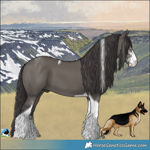 Horse Color:Smoky Grullo Sabino Tobiano 