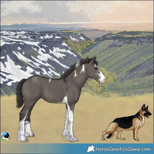 Horse Color:Smoky Grullo Sabino Tobiano