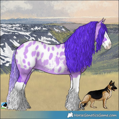 Horse Color:Watercolor Liver Red Dun Splash Appaloosa Rabicano 