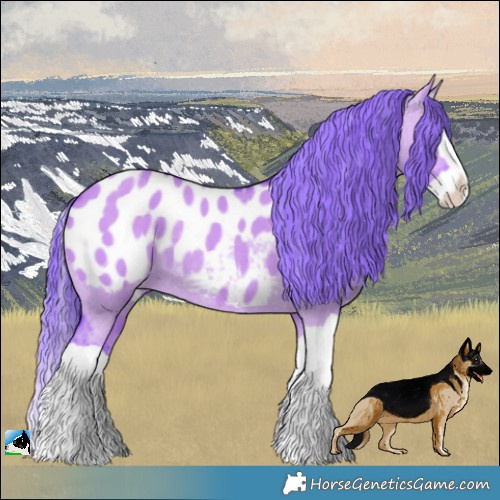 Horse Color:Watercolor Liver Red Dun Splash Blanket Rabicano 