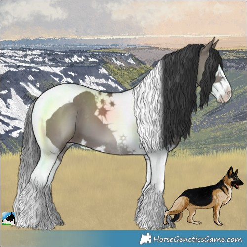 Horse Color:Grullo Splash Tobiano Varnish 