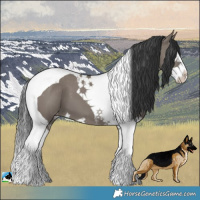 Horse Color:Grullo Splash Tobiano Varnish 