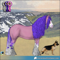 Horse Color:Watercolor Smoky Grullo Splash