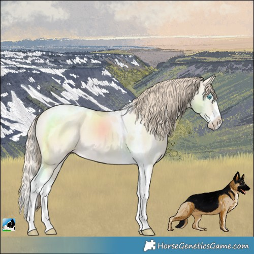 Horse Color:Perlino Dun Splash Tobiano Rabicano