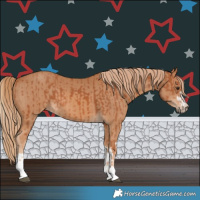 Horse Color:Chestnut  and Chestnut 