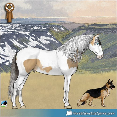 Horse Color:Buckskin Dun Splash Tobiano