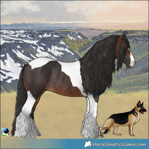 Horse Color:Brown Tobiano Rabicano