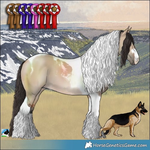 Horse Color:Bay Dun Tobiano 