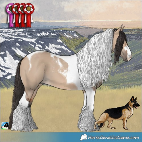 Horse Color:Bay Dun Tobiano 