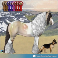 Horse Color:Bay Dun Tobiano