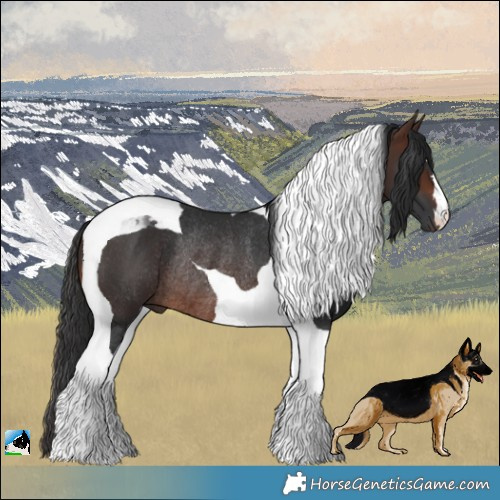 Horse Color:Brown Tobiano Rabicano