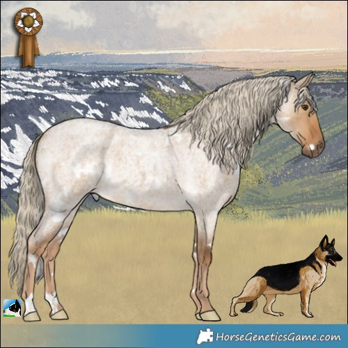 Horse Color:White Spotted Chocolate Palomino Roan Dun 