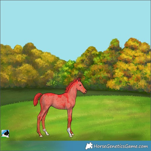 Horse Color:Watercolor Liver Red Dun Brindle 