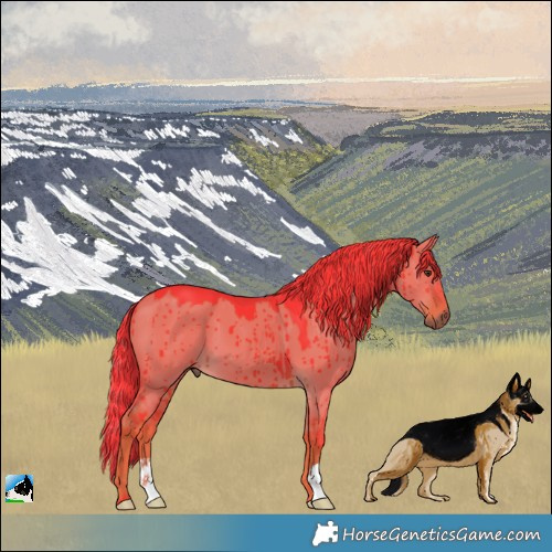 Horse Color:Watercolor Liver Red Dun Brindle