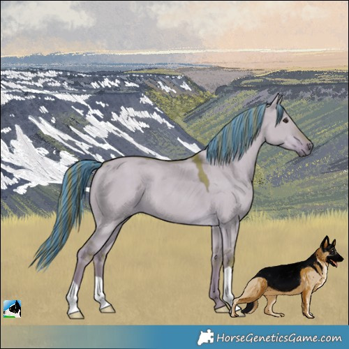 Horse Color:Painted Watercolor Liver Red Dun 