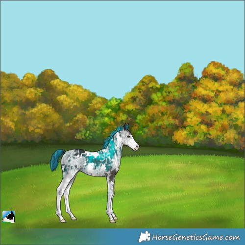 Horse Color:Painted White Spotted Grullo Ice Mushroom Sabino Brindle 