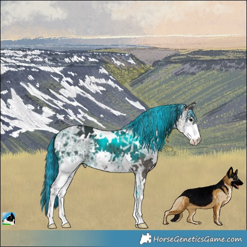 Horse Color:Painted White Spotted Grullo Ice Mushroom Sabino Brindle